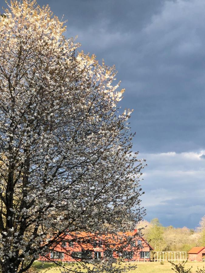 Villa Hasselbacken Gärsnäs Dış mekan fotoğraf