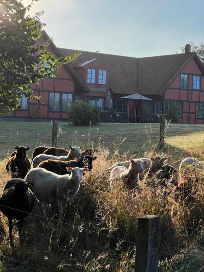 Villa Hasselbacken Gärsnäs Dış mekan fotoğraf
